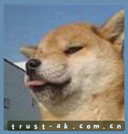 孙婷